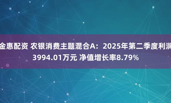 金惠配资 农银消费主题混合A：2025年第二季度利润3994.01万元 净值增长率8.79%