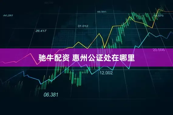 驰牛配资 惠州公证处在哪里